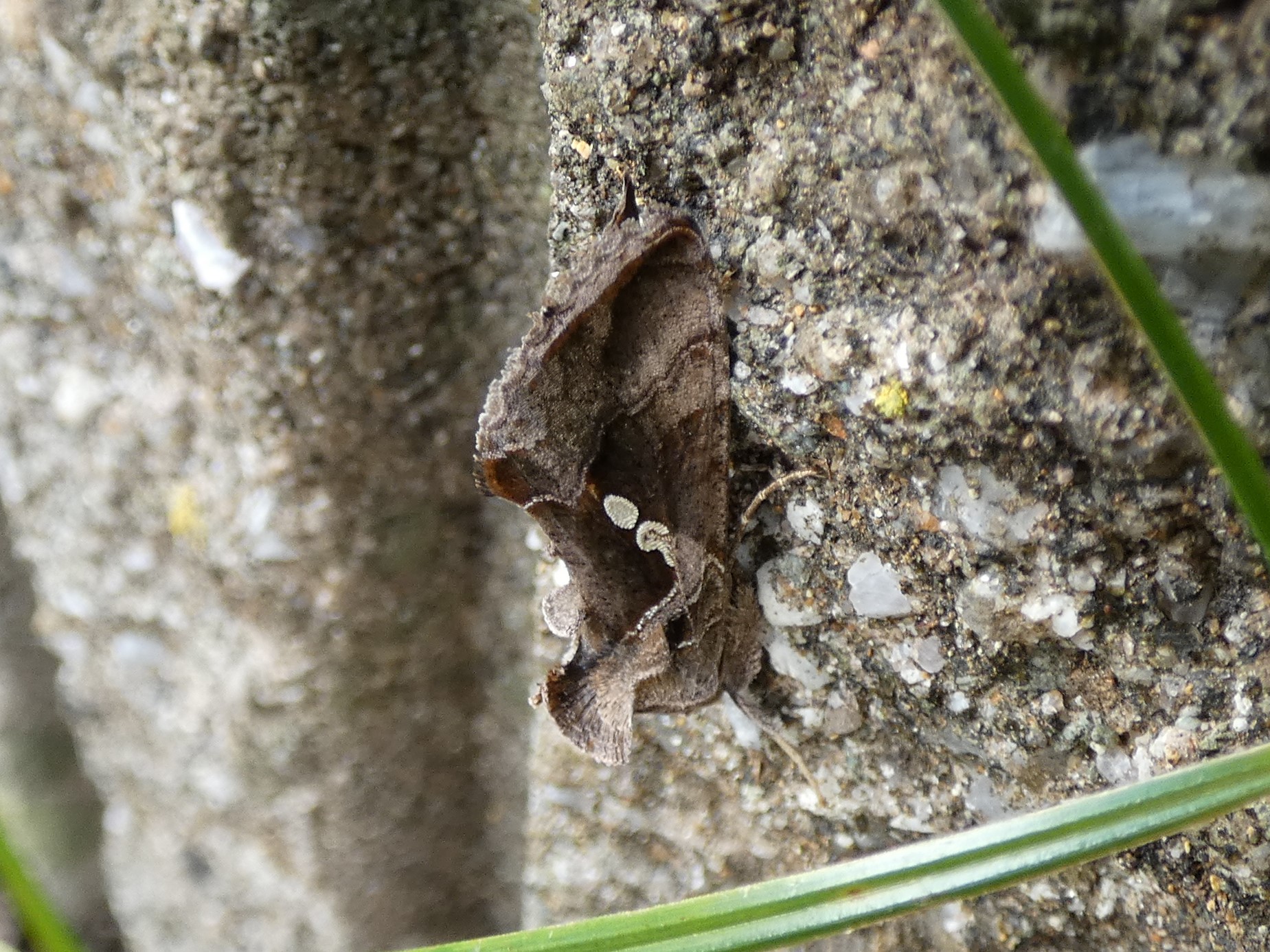 photo_2